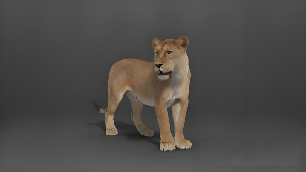 Blender狮子绑定3D模型 VFXGrace – Female Lion Rigged