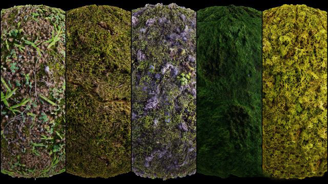 30组草地草坪纹理贴图素材 Artstation – 30 Grass Texture