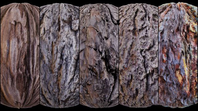 100组树皮纹理贴图材质 Artstation – 100 Bark Texture