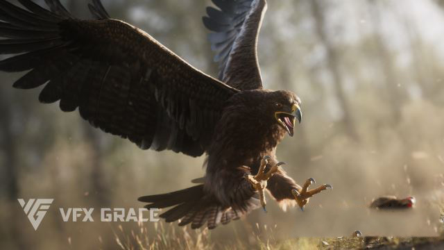Blender老鹰3D模型 VFX Grace – Aquila Nipalensis Animation Rigged