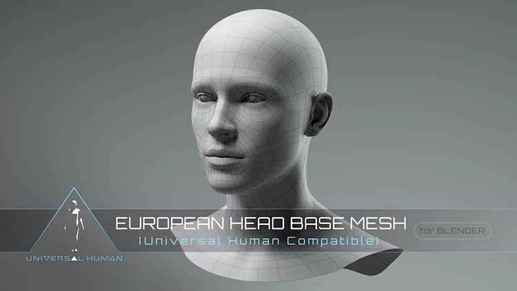 Blender欧洲人头部基础网格模型 Universal Human – European Head Base Mesh v3.0