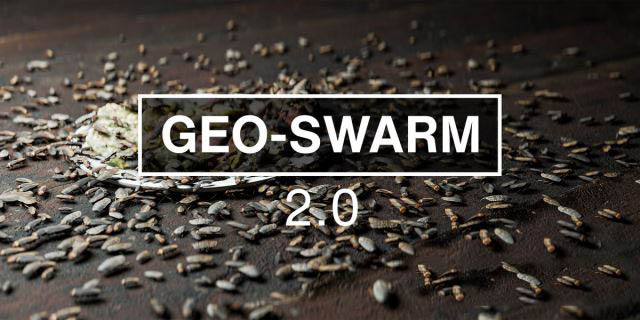 Blender昆虫动画模拟插件 Geo-Swarm v2.0 Premium