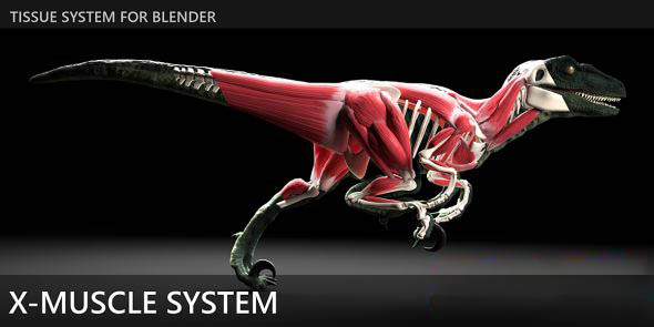 Blender肌肉系统模拟插件 X-Muscle System 4.0
