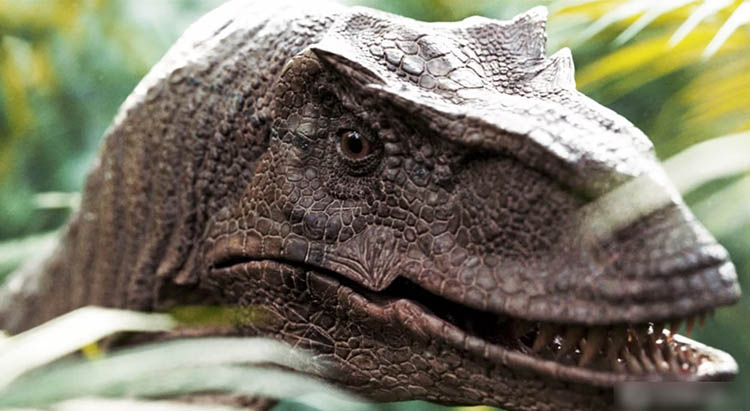 Blender 迅猛龙恐龙3D模型 Raptor Dinosaur 3D model Realistic and Rigged