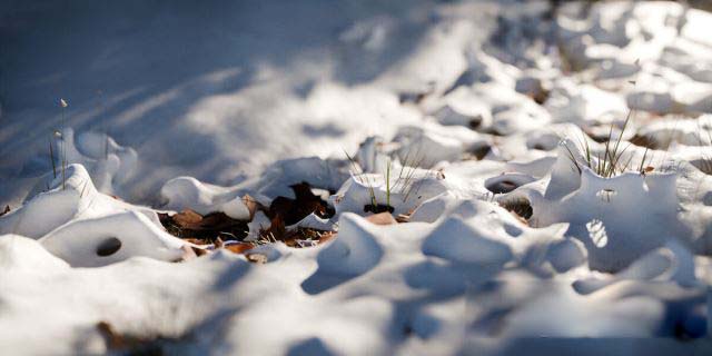 Blender雪地几何节点预设 Snow
