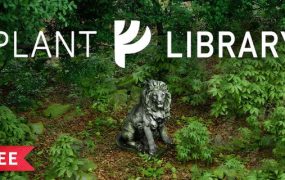 Blender植物树木花草3D模型资产预设下载 The Plant Library