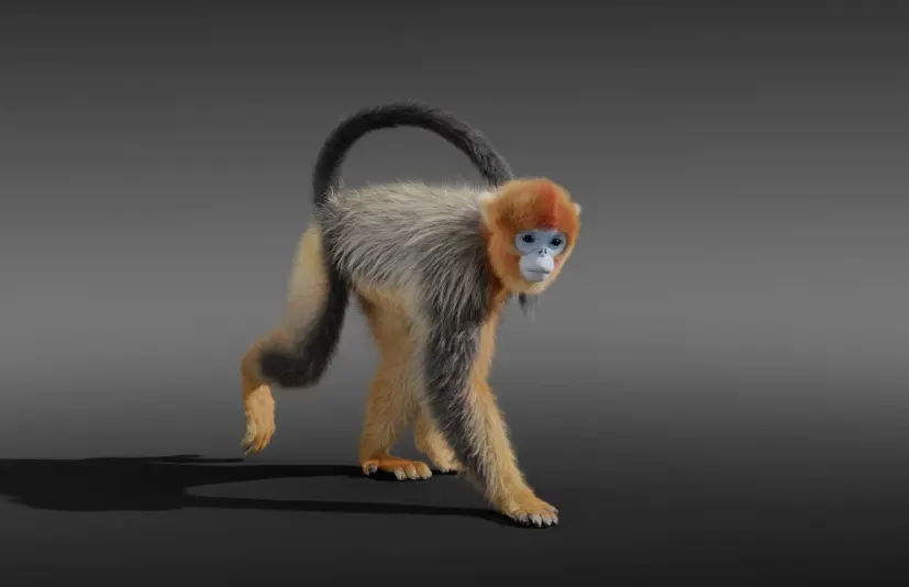 川金丝猴动物动画骨骼绑定3D模型下载 Golden Snub-nosed Monkey Animated