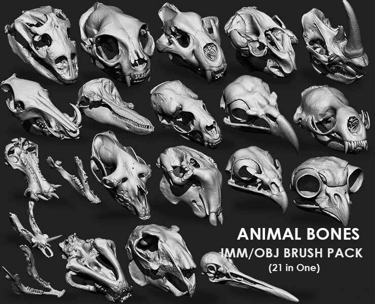 21种动物头骨骷髅骨骼3D模型免费下载 Artstation – Animal Bones Collection Brush Pack 21 in One Vol.1