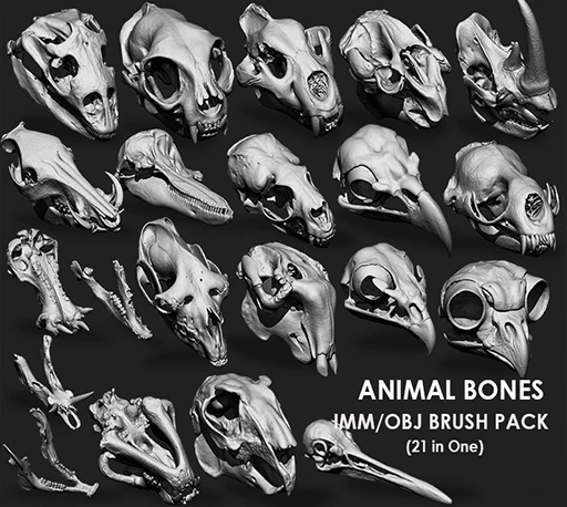 Animal Bones Collection Brush Pack