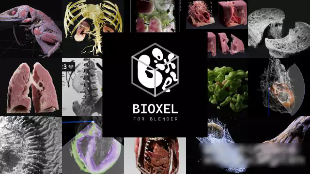 Blender插件下载-科学体数据可视化渲染 Bioxel Nodes v2.0.0