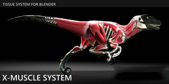 Blender插件下载肌肉系统模拟系统 X-Muscle System 4.9.7