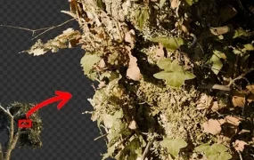 Blender 真实树木3D模型资产下载 Smart Trees V1.2 – Super Close-Up Trees