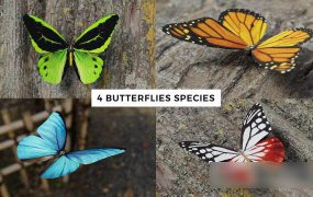 Blender蝴蝶3D模型下载 Butterfly Realistic 3D Model Pack