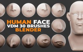 Blender 3D模型下载-人脸耳鼻眼睛五官笔刷资产预设 Human Face VDM Brushes
