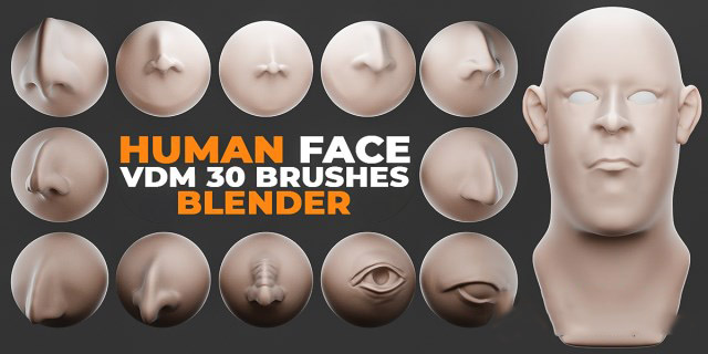 Human Face VDM Brushes