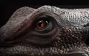 OpenPBR 即将登陆 Blender，它到底是什么？